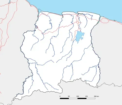 Road Network & Infra